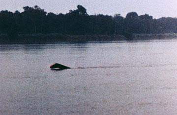 Mokele Mbembe - the monster of Lake Tele in Congo, Africa »