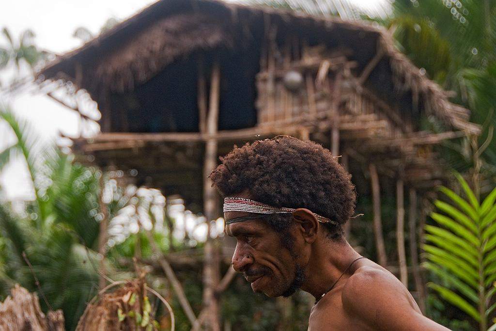 About Korowai tribe tree houses in Papua New Guinea and Indonesia