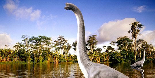 A pair of Mokele Mbembe dwell the heart of Congo. These majestic