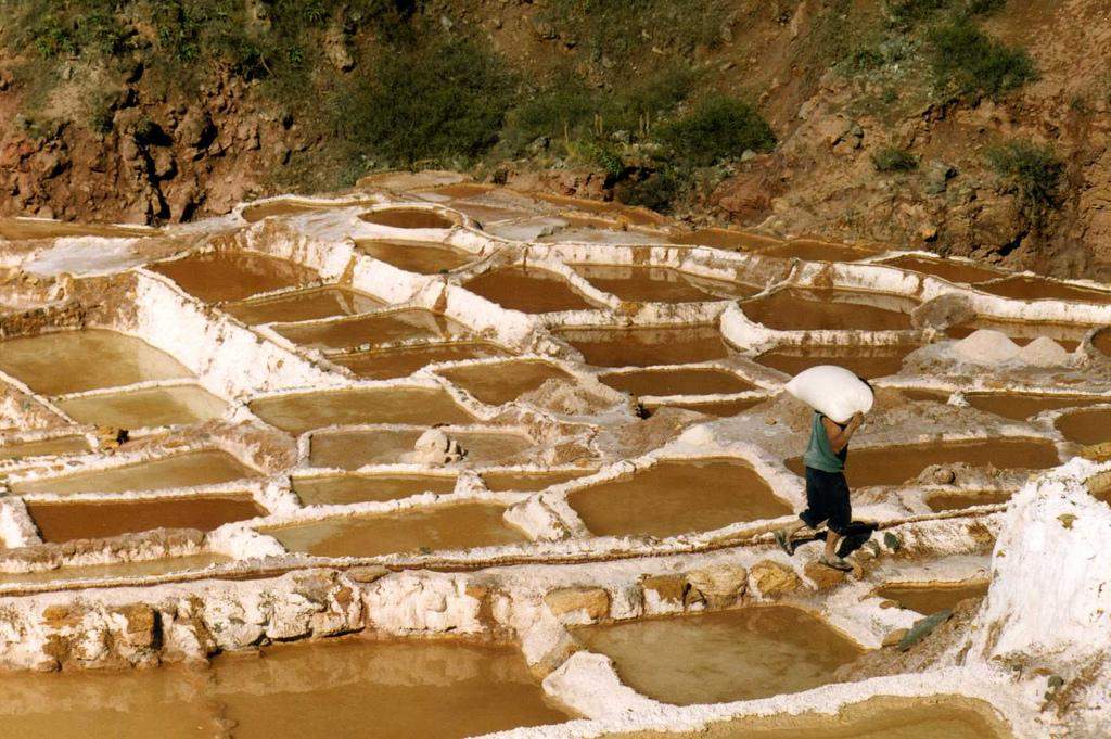 Salt mines - Salinas de Maras, Peru » Tripfreakz.com